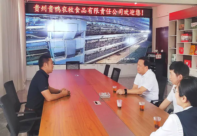 金融赋能全链   护航&ldquo;三穗鸭&rdquo;产业迈向高质量发展新征程