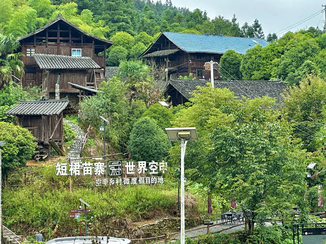 金融&ldquo;活水&rdquo;润苗乡：空申村的坚守与绽放