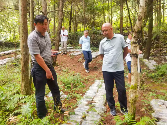 岑巩农信联社：金融&ldquo;活水&rdquo;润菌业  乡村振兴添动能