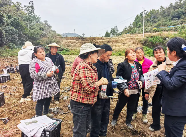 丰收季节识假币，田间地头筑防线