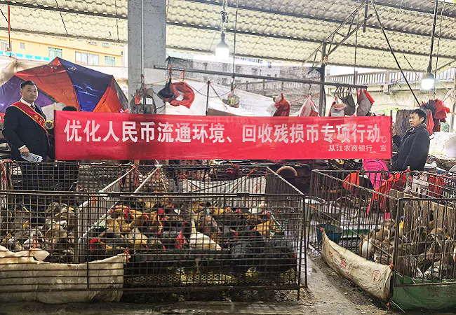 从江农商银行：优化现金流通环境 从兑换残损币开始