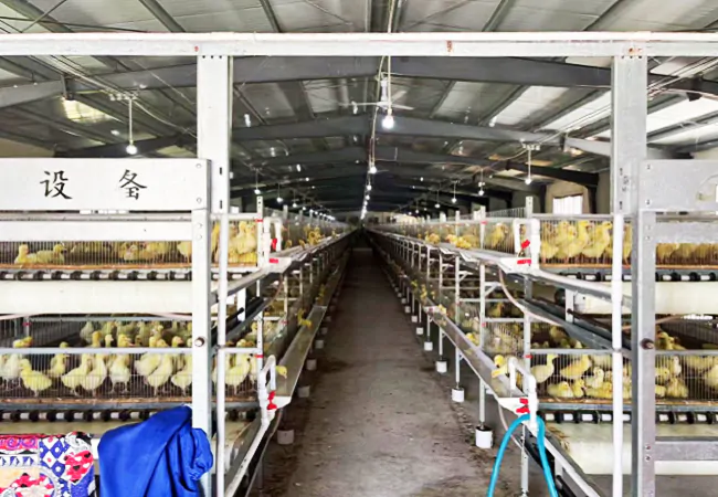 贵州银行锦屏支行：金融&ldquo;贷&rdquo;动鹅产业腾飞