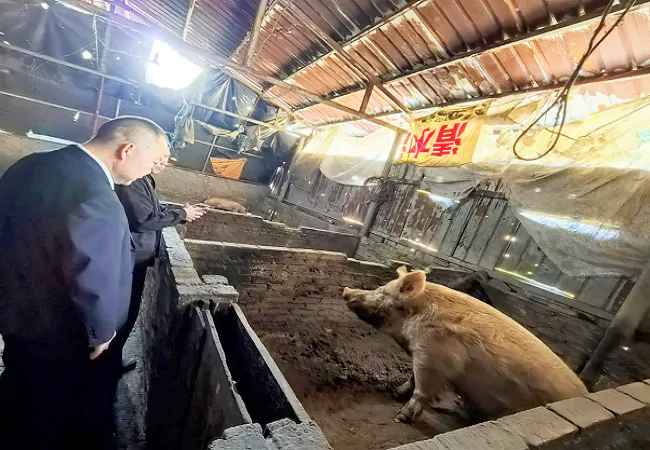 三十载信合情 一腔乡土魂