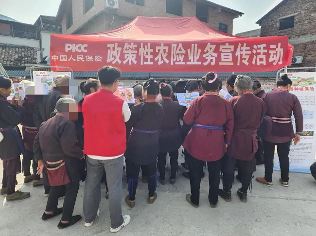 人保财险黔东南从江支公司： 开展政策性农险宣传