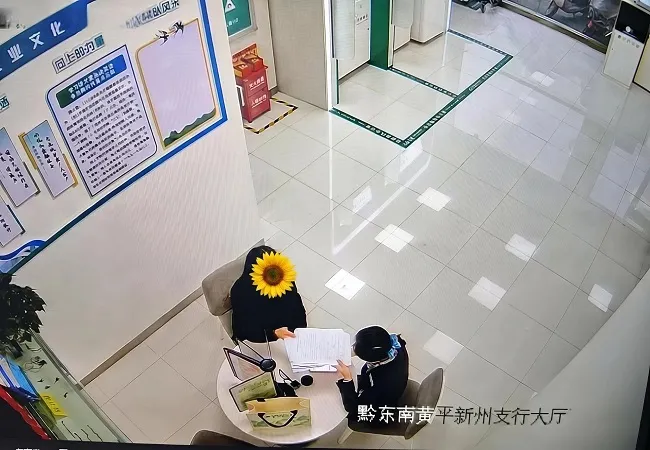 慧眼识骗局  暖心护民生