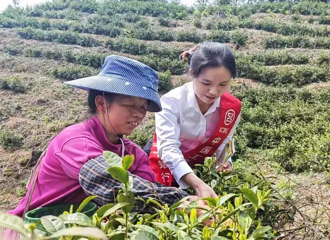 工行榕江支行：金融&ldquo;活水&rdquo;润乡土   绘就振兴新图景
