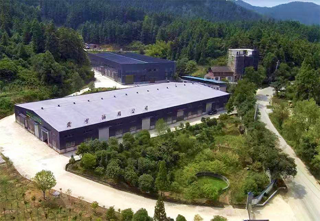 1770756159440011.png 图为:霞宇油脂公司油茶基地.png