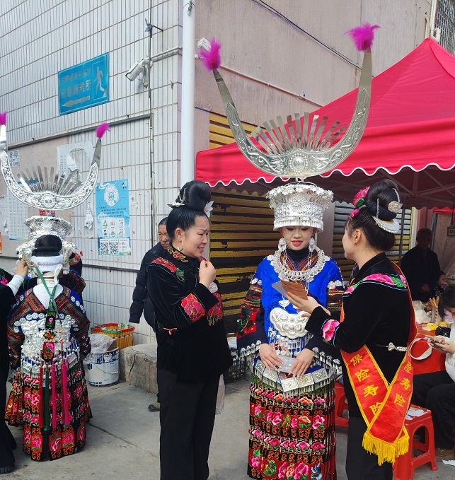 1772010203104489.jpg 图片2.jpg