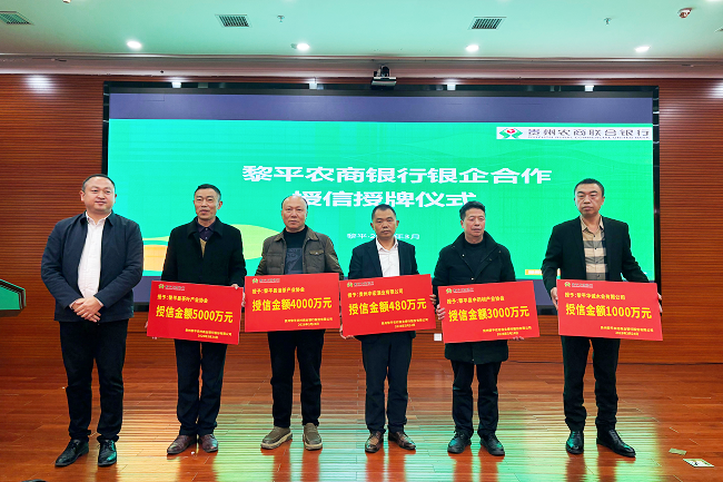 1774598554794439.png 图为:授信授牌仪式.png