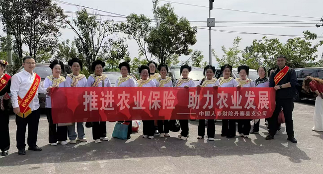 国寿财险丹寨县支公司开展农业保险宣传活动