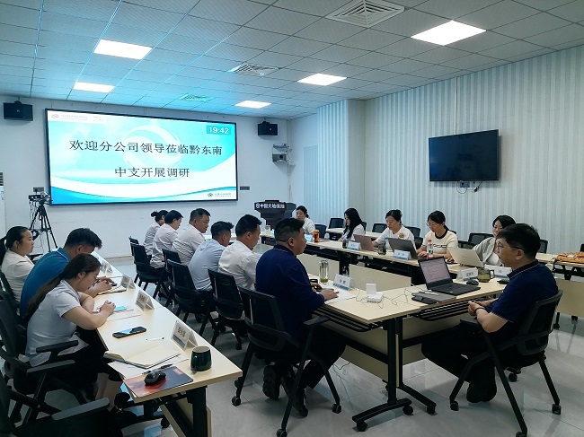 中国大地保险贵州分公司领导赴黔东南 中支开展党建与经营督导调研